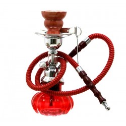 Pumpkin Shisha 1-Schlauch 23cm Rot